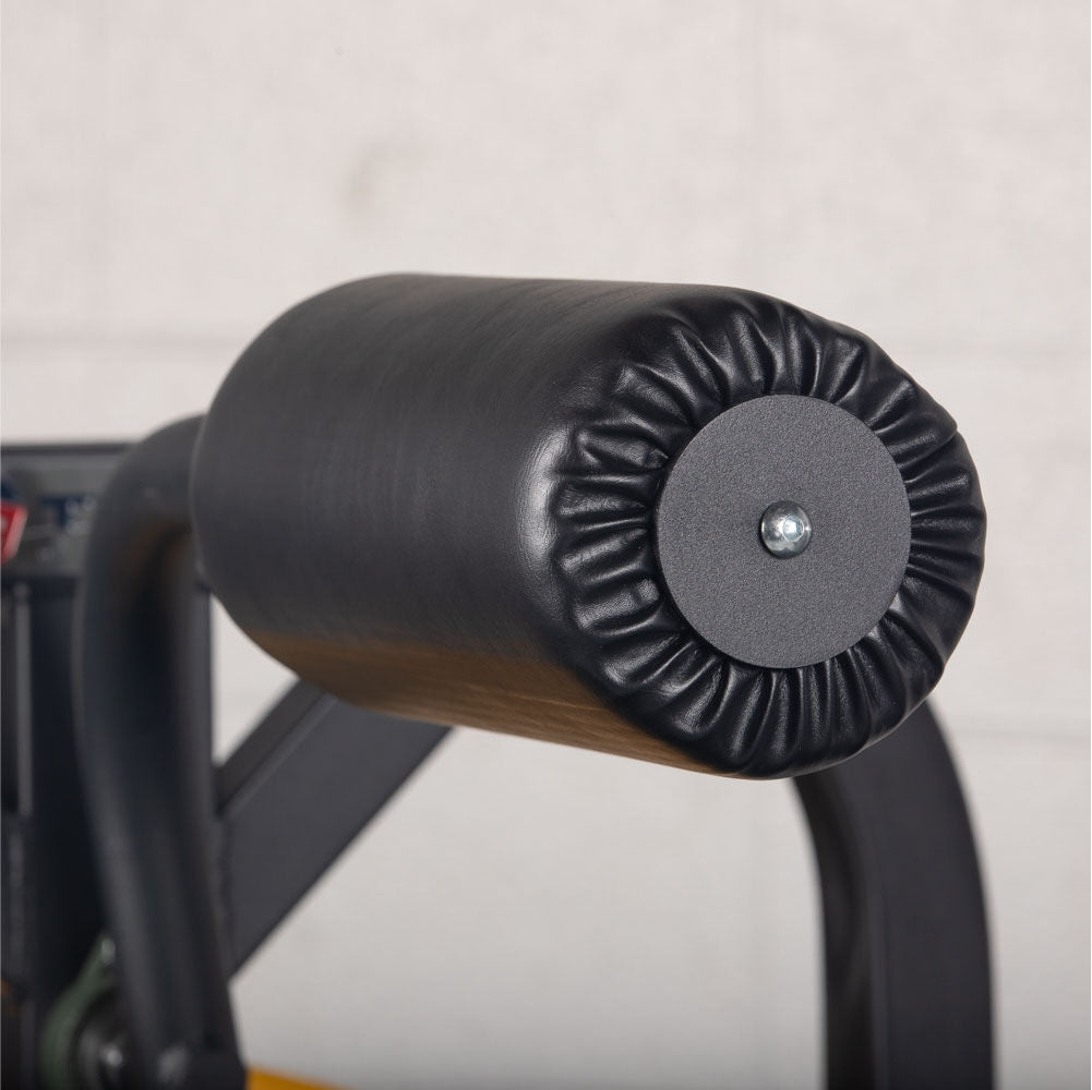 Plate-Loaded Neck Machine