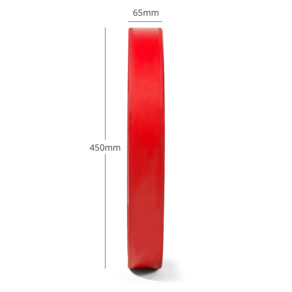 KG Elite Color Olympic Bumper Plates | 25 KG Detail 2